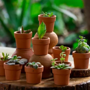 Terracotta Pot P20 - Set of 9