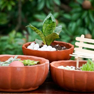 Terracotta Pot P4 - Set of 3