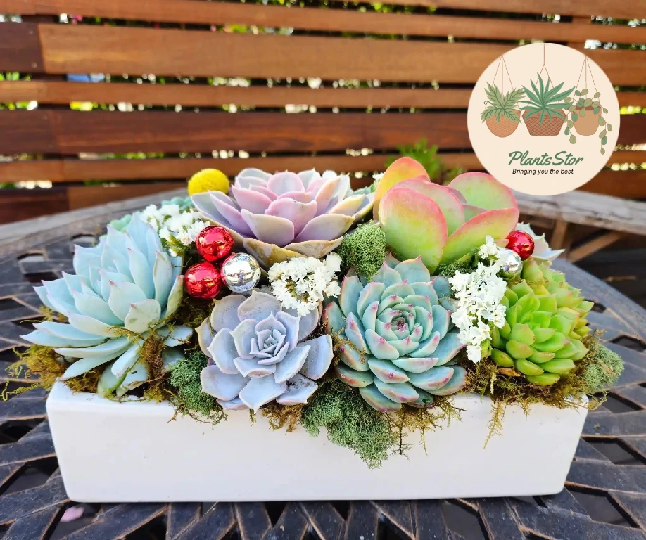 succulents in floral arrangements