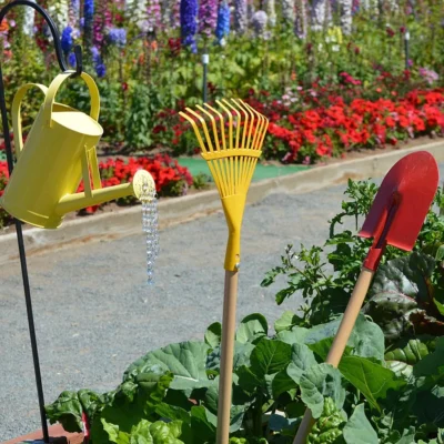 Succulent Gardening Tools and Accessories