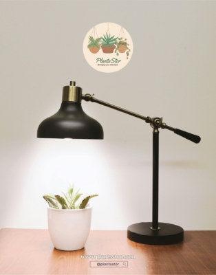 A black desk lamp with a brass arm is illuminating a small potted succulent plant on a wooden surface. Above the lamp, there is a logo featuring hanging plants and the text "PlantStor, bringing plants to life." Below the lamp, there is a website URL www.plantstor.com and an Instagram handle "@plantstor"