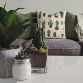 Indoor plants and a candle on a white table in front of a gray couch with cactus-themed pillows.